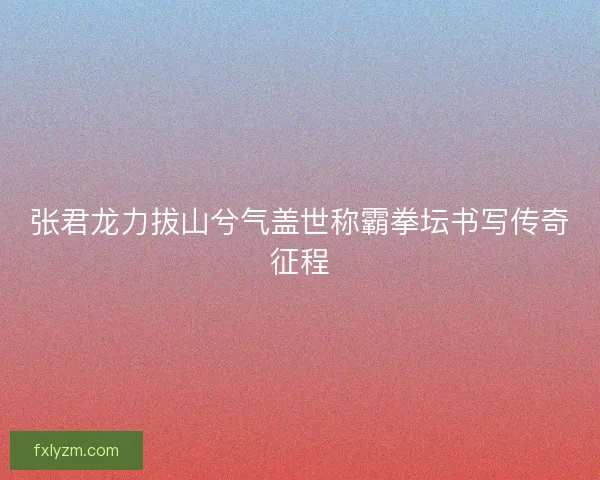 张君龙力拔山兮气盖世称霸拳坛书写传奇征程