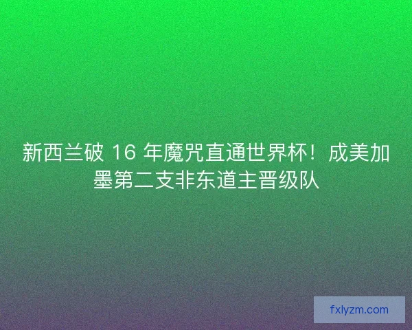 新西兰破 16 年魔咒直通世界杯！成美加墨第二支非东道主晋级队