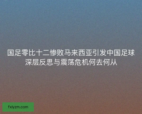 国足零比十二惨败马来西亚引发中国足球深层反思与震荡危机何去何从